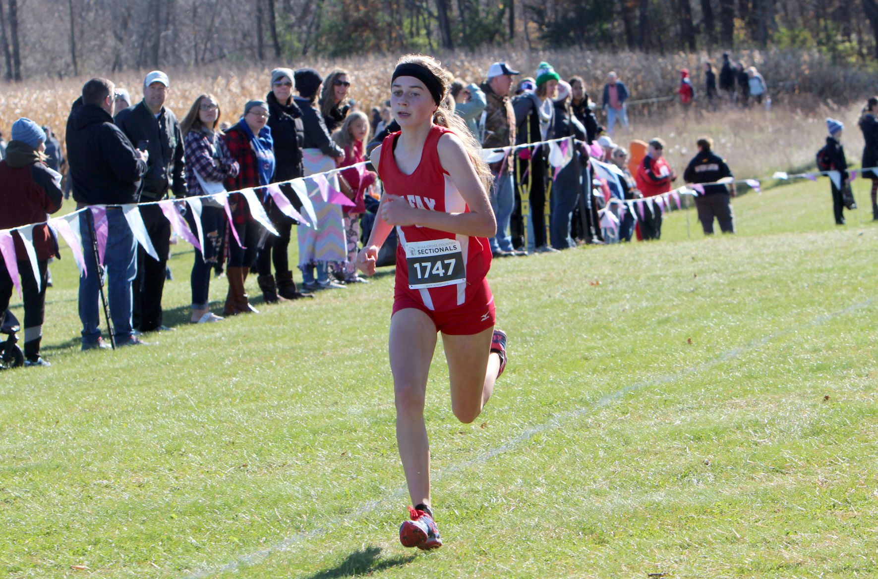 Division 3 Cross Country Sectionals in Boyceville 10-26-19